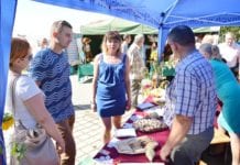 Cały powiat na dożynkach