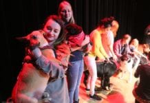 Schronisko w finansowych tarapatach