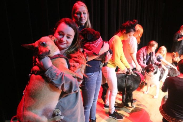 schronisko-w-finansowych-tarapatach-str-str-11-swidnik-3