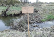 Zdesperowani niszczą tamy