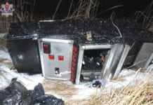 Cwani, groźni, (nie)skuteczni