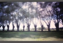 Magiczne miejsca Ryszarda Karczmarskiego