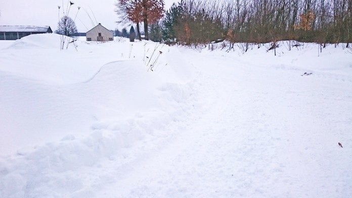 Zawialo odpady (1) copy