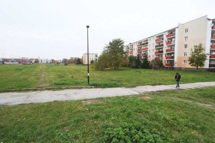 swidnik brzeziny (1)