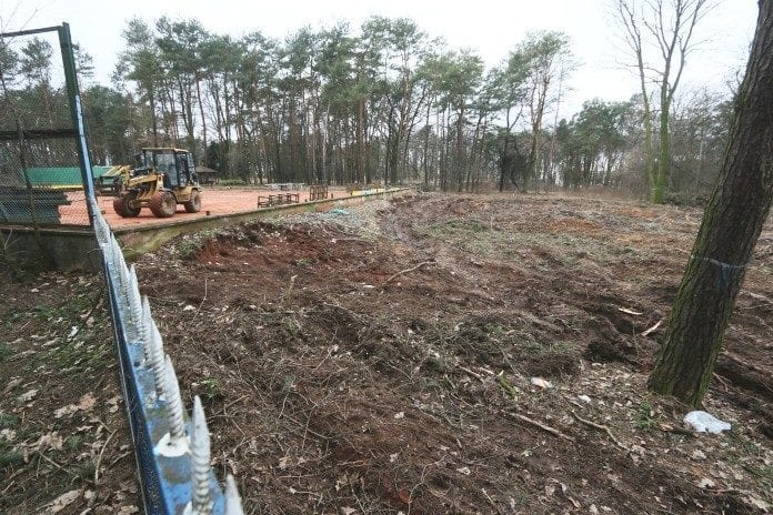 swidnik wycinka drzew