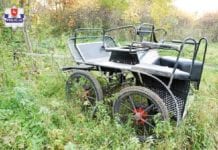 Zginął zmiażdżony przez powóz