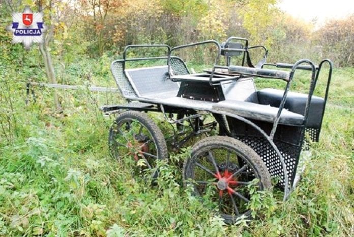 kareta śmiertelna copy