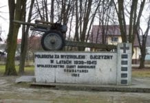 Armata zniknie w rocznicę niepodległości?