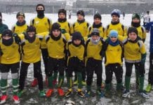 Niedźwiadek nie dał plamy