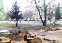 Dzieci ważniejsze niż sentymenty