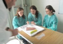 Szyli świńską nóżkę