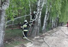 Alarm! Pali się w lesie!