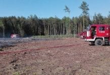 Wielki pożar, wielka akcja