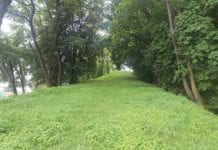 Sportowe plany burmistrza