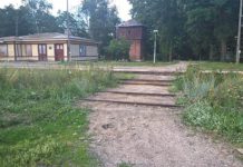 Jest dzikie, chcą normalnego