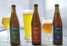 W Kraśniczynie warzą piwo!