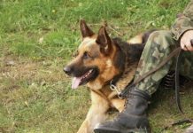 Herosowi nie umkniesz