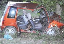 Pijany jak bela wjechał w drzewo