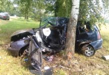 Szarża w pijanym widzie