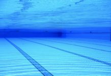 Wypróżnił się do basenu!