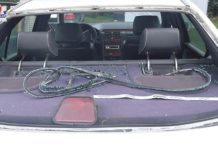 Kozaczył, potem uciekał