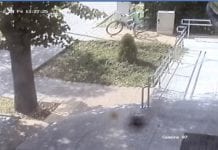 Taki mały, a już złodziej