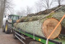 Kradli u siebie, sprzedawali daleko