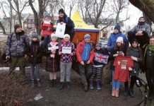 Brytyjski Łowca Drzew w Krasnymstawie