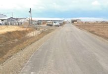 Ukoronowanie scaleń