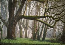 Będą się wspinać?