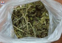 Sam uprawiał, sam sprzedawał