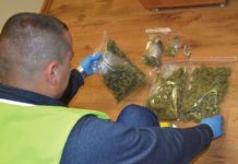 Narkotyki w majtkach