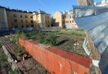 Po „Koziołku” nie będzie biurowca?