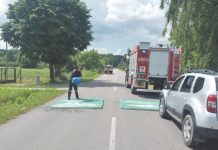 Pomór świń znów zaatakował