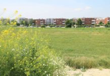 Miasto liczy na miliony