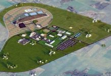 Przyszli po rozum do głowy