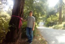 Na drzewach zawisły żałobne wstążeczki