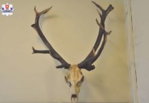 Wrobił montera w kradzież