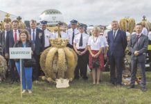 Wieniec z Latyczowa trzeci w województwie