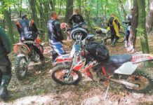 Mandaty za rajdy po lesie