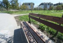 Park złapał poślizg