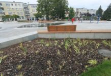 Miasto bardziej zielone