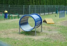 Świdnickie czworonogi mają swój park rozrywki