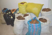 Worki trefnego tytoniu