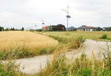 SAG wciąż bez konkretów