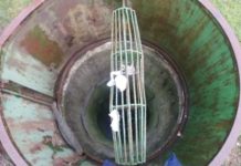 Szczęściarz nieboga