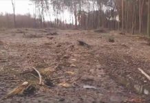 Ostre cięcie przy rezerwacie