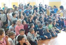 Koty dobre na wszystko