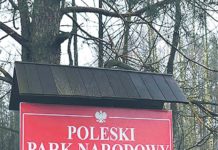 W finale troje kandydatów