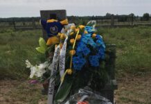 Sprowadzić mistrza do Świdnika